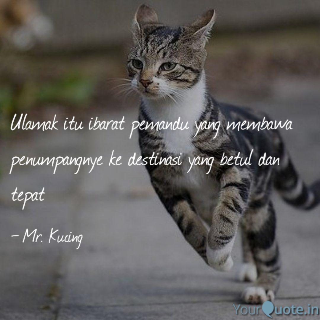 Ulamak Itu Ibarat Pemandu Quotes Writings By Mr Kucing Yourquote