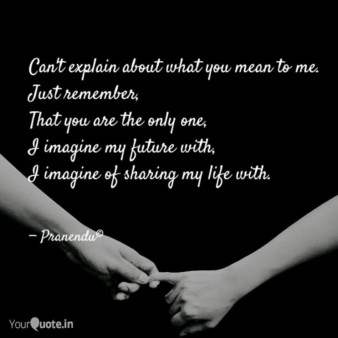 Can T Explain About What Quotes Writings By Pranendu Pradhan Yourquote