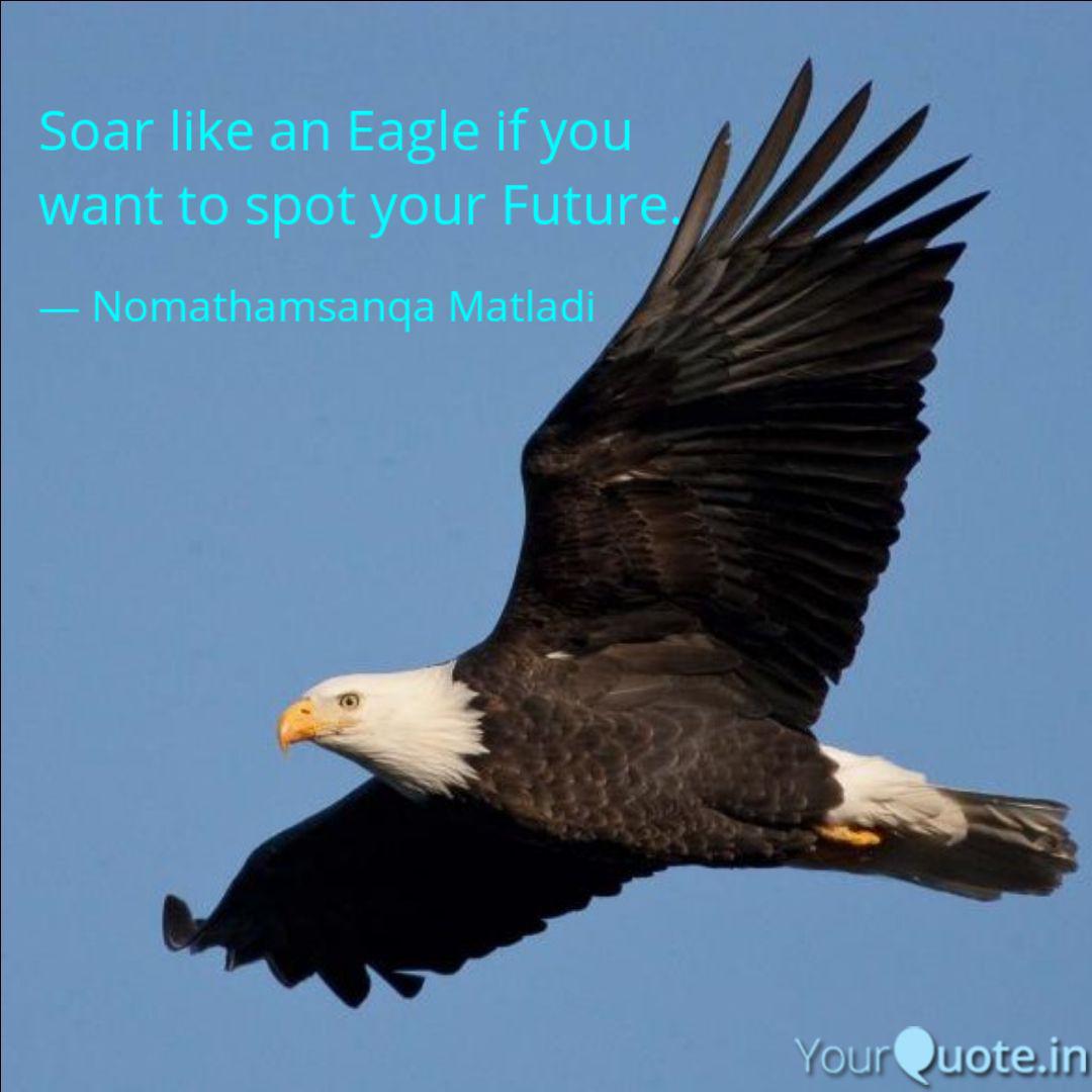 Soar Like An Eagle If You Quotes Writings By Nomathamsanqa Matladi Yourquote