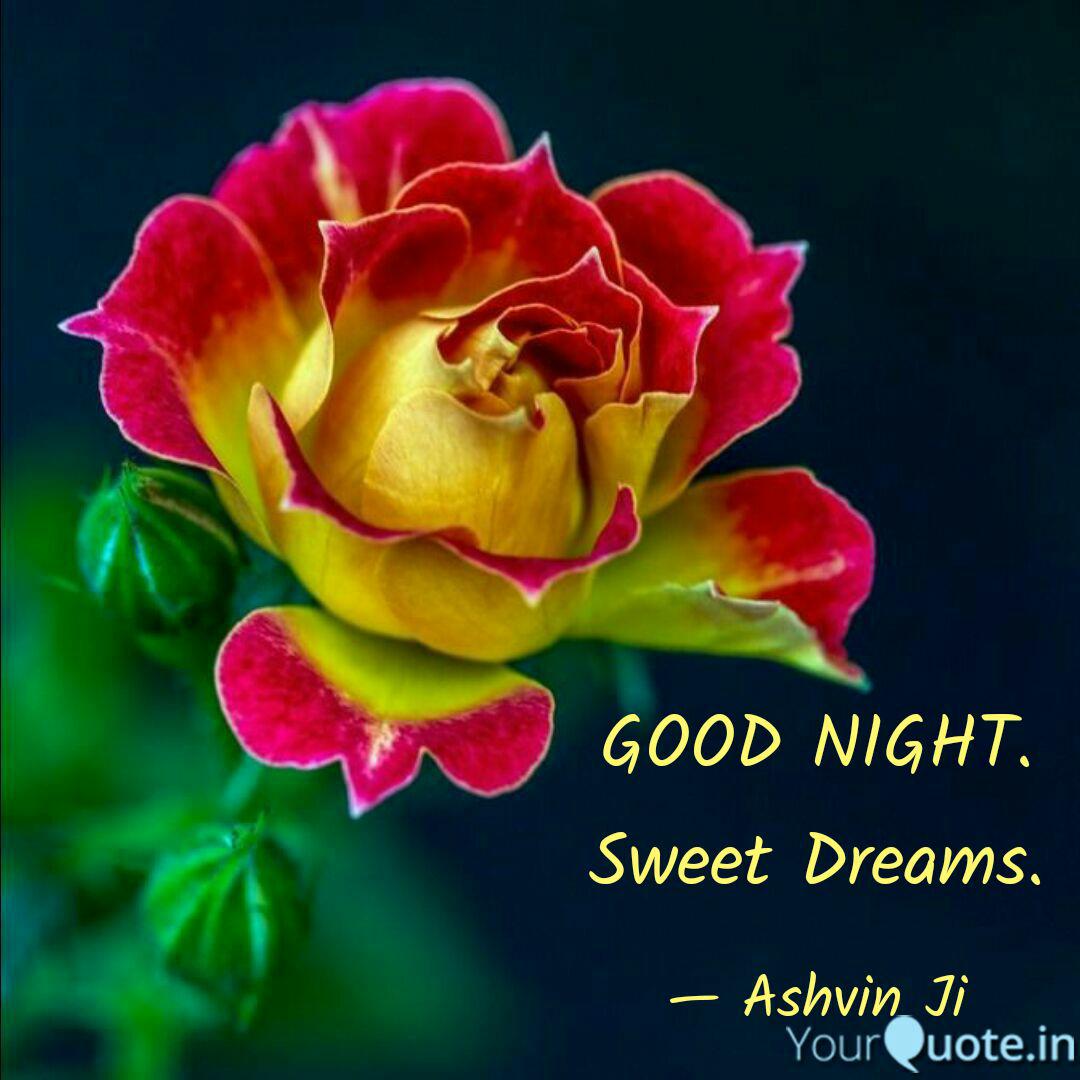 Good Night Sweet Dreams Quotes Writings By Ashvin Ji