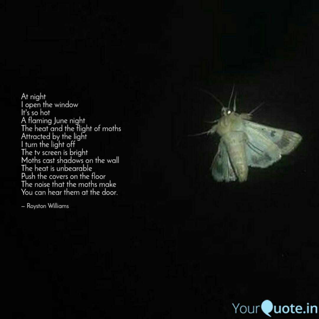 Why Are Moths Attracted To Flames