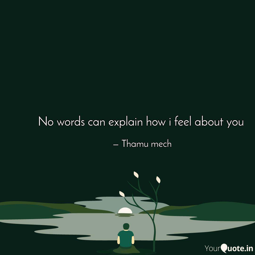 No Words Can Explain How Quotes Writings By Thamu Mech Yourquote