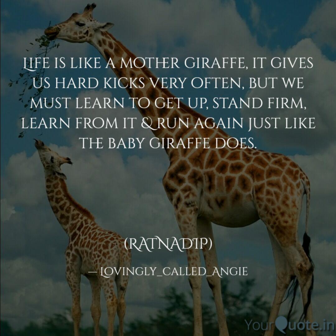 Life Is Like A Mother Gir Quotes Writings By Ratnadip Saha Yourquote