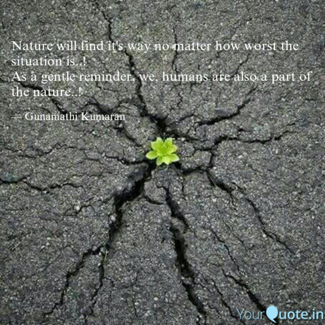 Nature Will Find It S Way Quotes Writings By Gunamathi Kumaran Yourquote