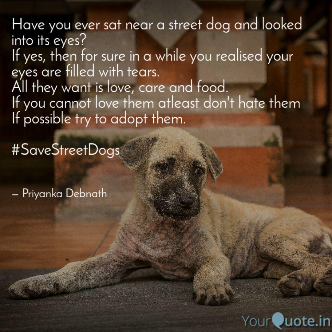 Best Adoptdogs Quotes Status Shayari Poetry Thoughts Yourquote Together, put the words into different categories. best adoptdogs quotes status shayari