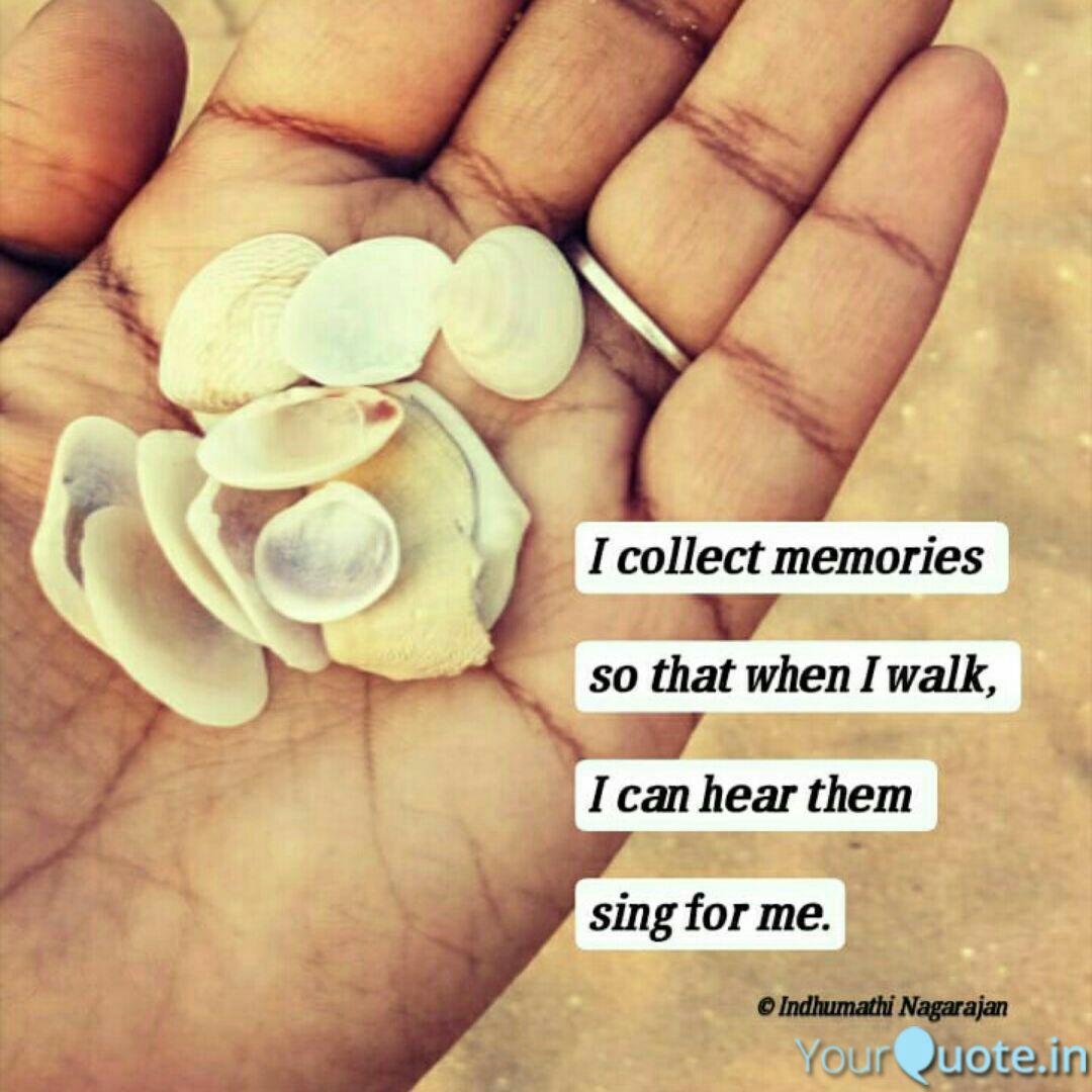 Best Seashell Quotes Status Shayari Poetry Thoughts Yourquote