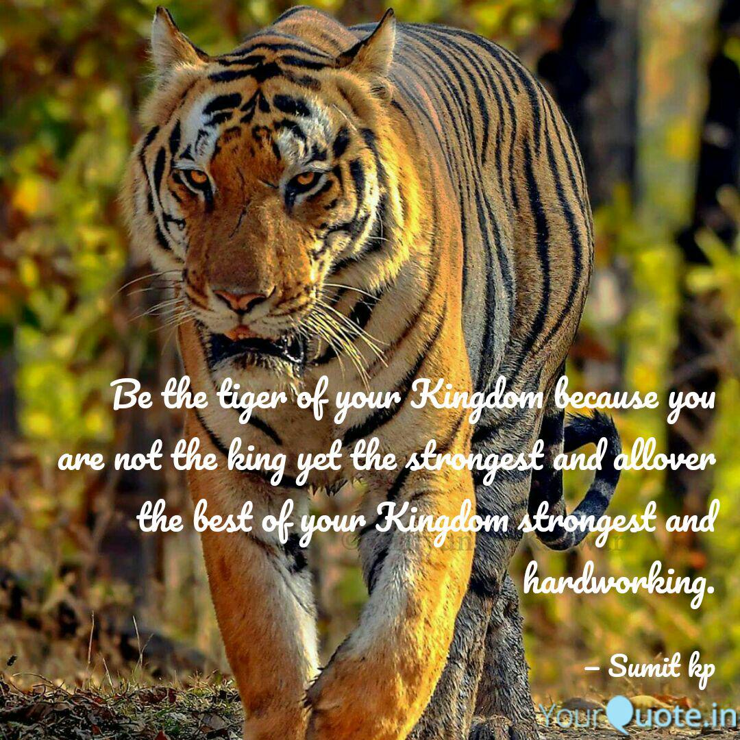 Be The Tiger Of Your King Quotes Writings By Sumit As Somu Kp Yourquote