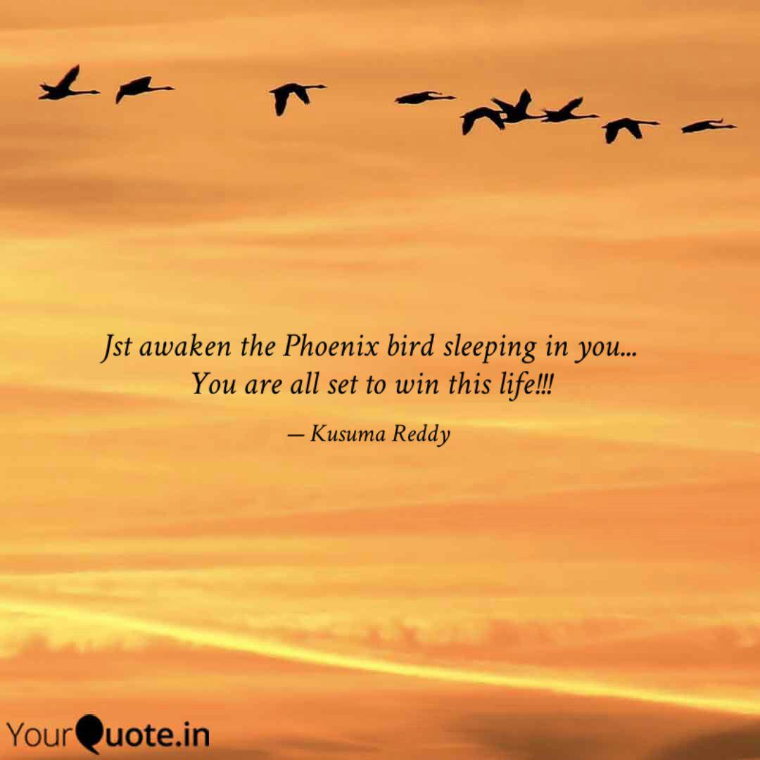 Jst awaken the Phoenix bi... | Quotes & Writings by Kusuma ...