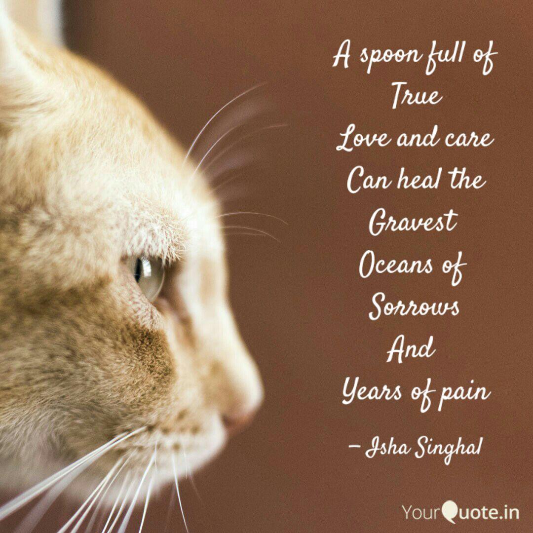 A Spoon Full Of True Love Quotes Writings By Isha Singhal Yourquote