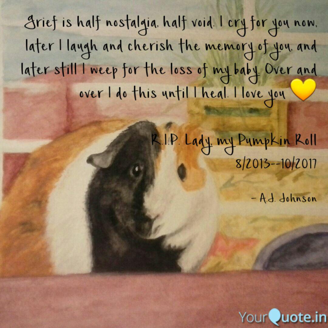 Best Guineapig Quotes Status Shayari Poetry Thoughts Yourquote