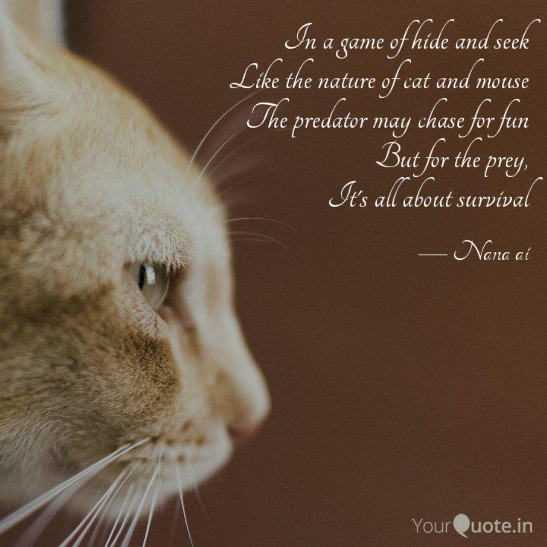 In A Game Of Hide And See Quotes Writings By Lawal Aisha Yourquote
