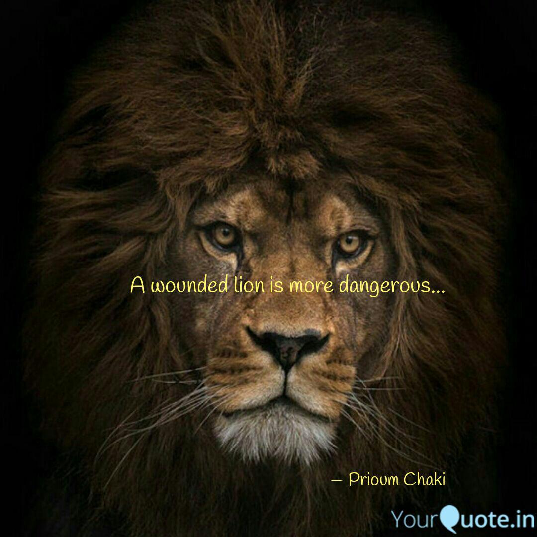 A Wounded Lion Is More Da Quotes Writings By Prioum Chaki Yourquote