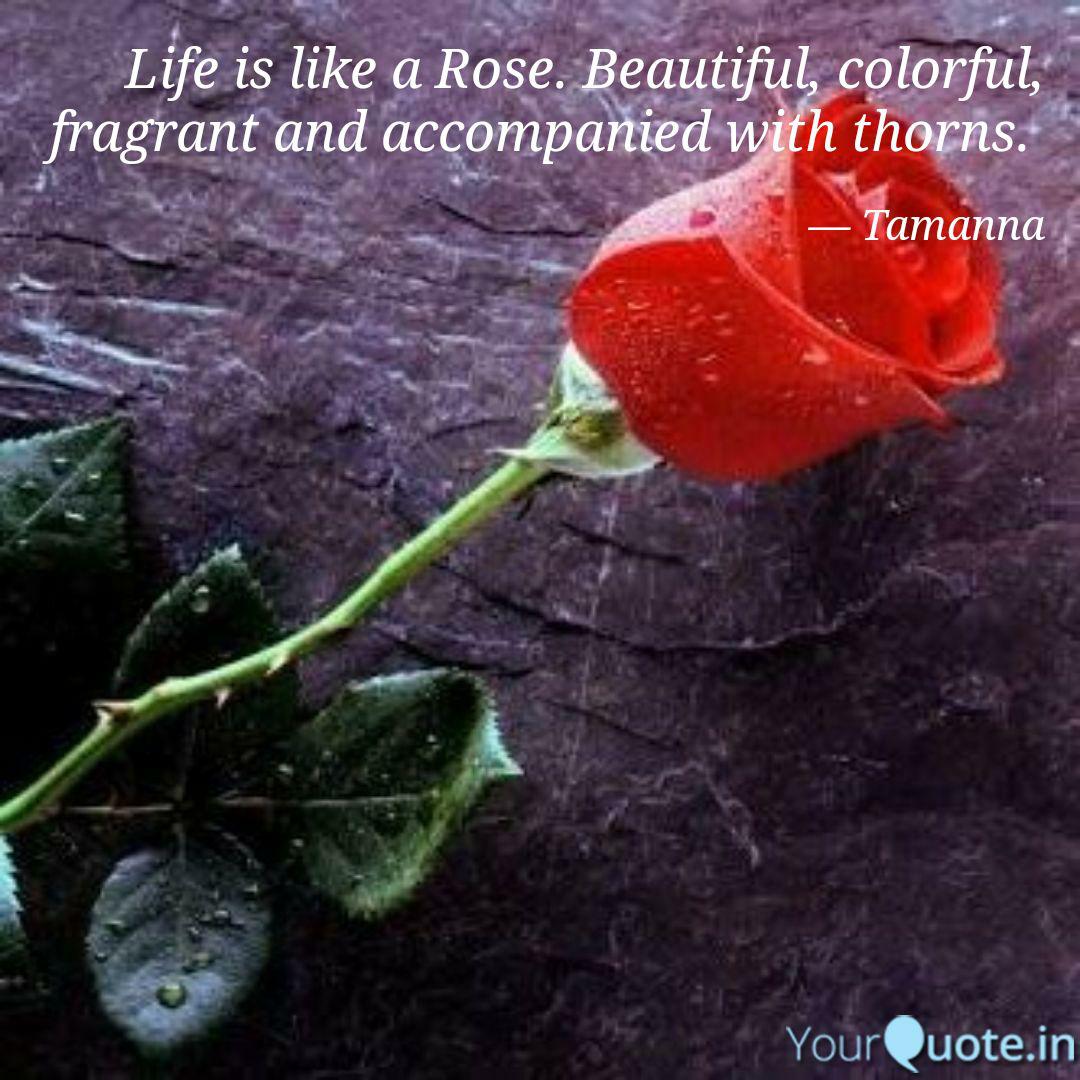 yourquote