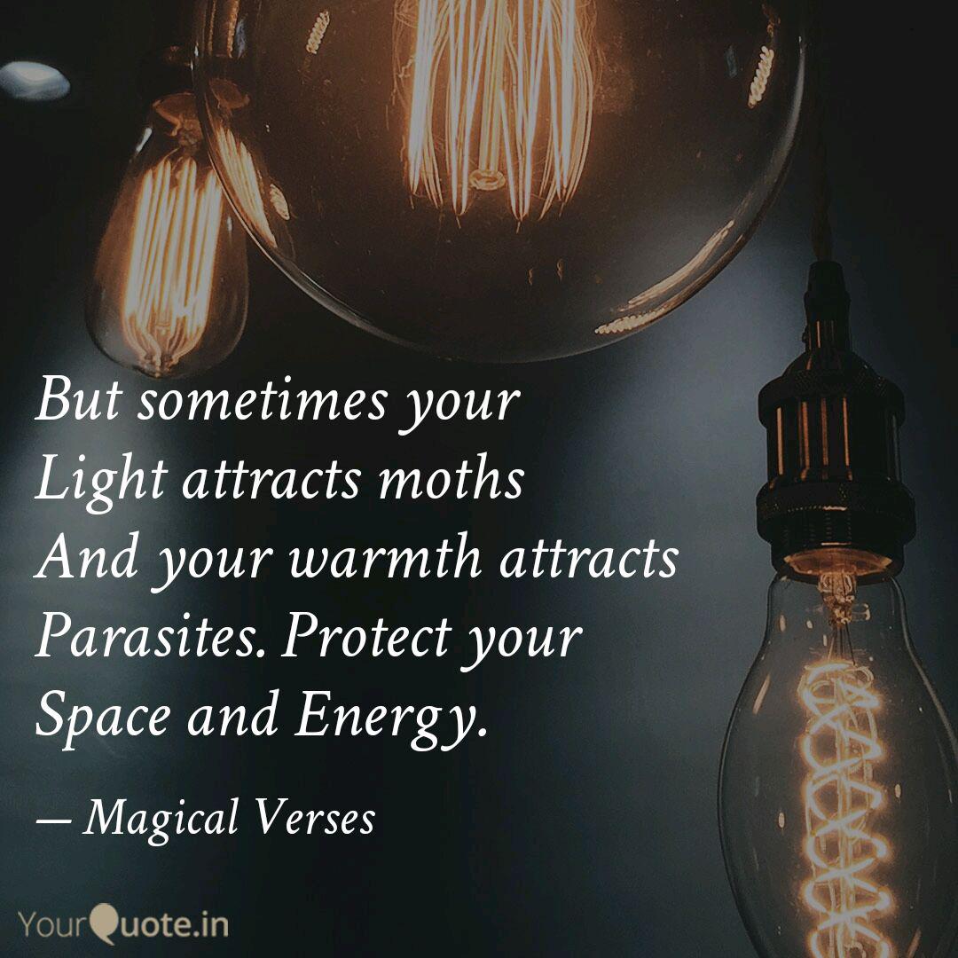 Best Moths Quotes Status Shayari Poetry Thoughts Yourquote