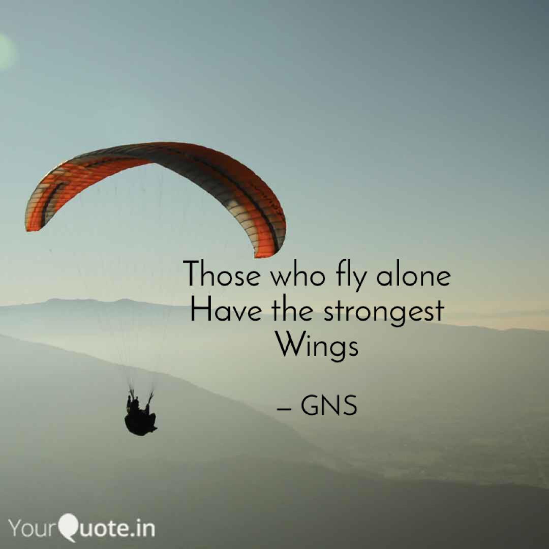 Flyalone