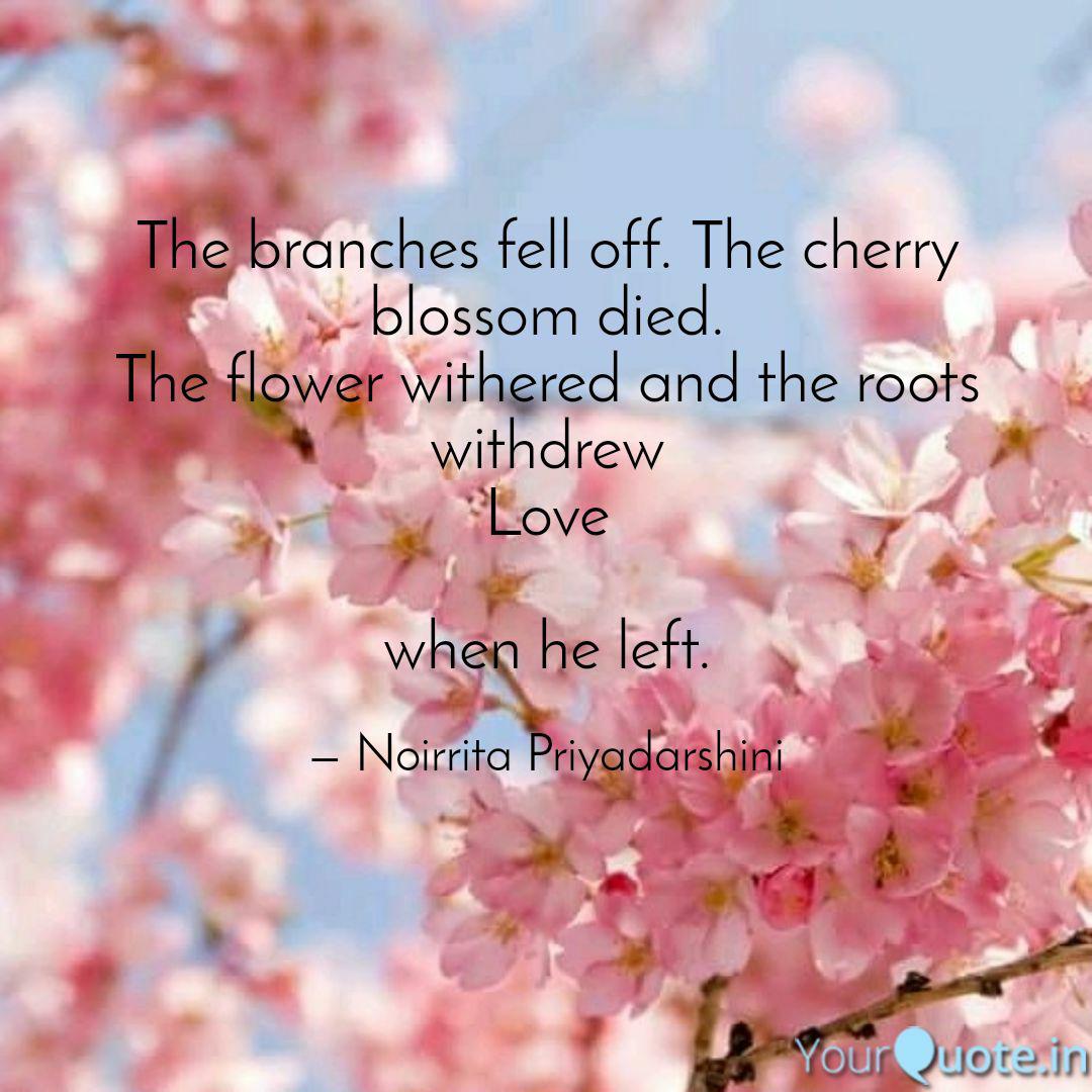 Get Wallpaper The Branches Fell Off Th Quotes Writings By Noirrita For Free