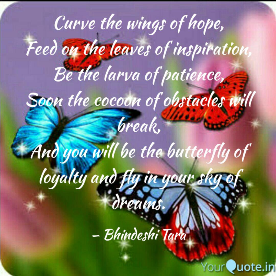 Curve The Wings Of Hope, ... | Quotes & Writings By Bhindeshi Tara | Yourquote