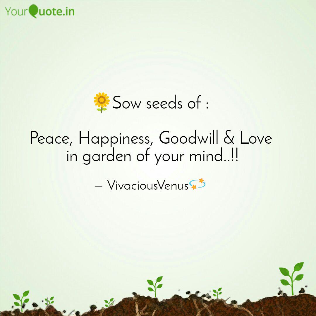 Get Wallpaper Sow Seeds Of Peace Quotes Writings By Aarti Hatkar Free