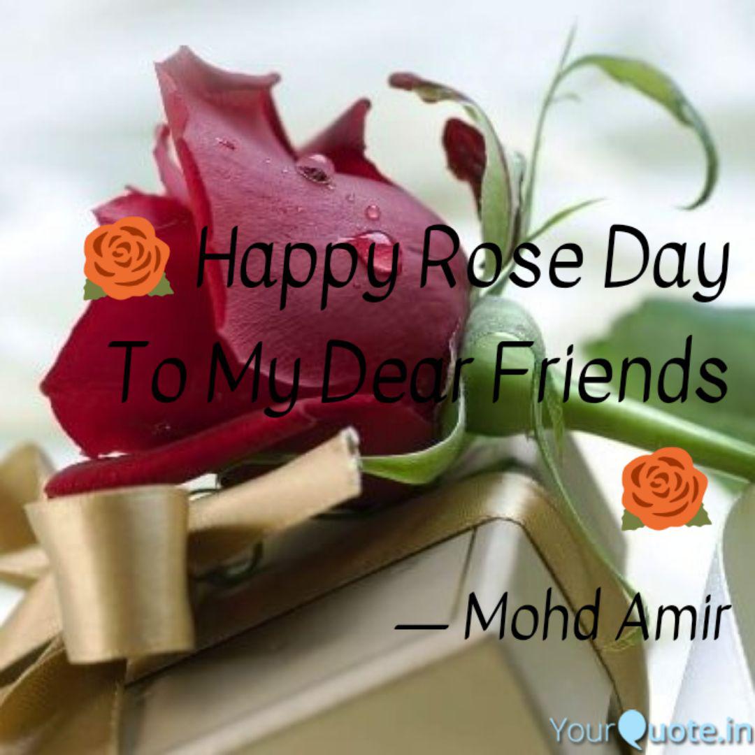 Happy Rose Day To My Quotes Writings By Mohd Amir Yourquote Rose day images will help you to express your feelings to your girlfriend, boyfriend, love, husband or wife. quotes writings by mohd amir