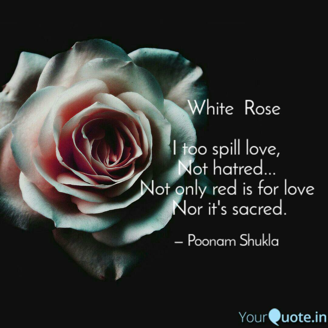 Images Of White Roses With Quotes