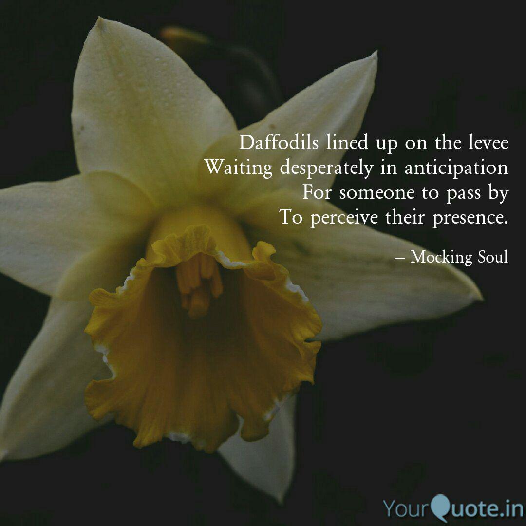 Best daffodils Quotes, Status, Shayari, Poetry & Thoughts YourQuote