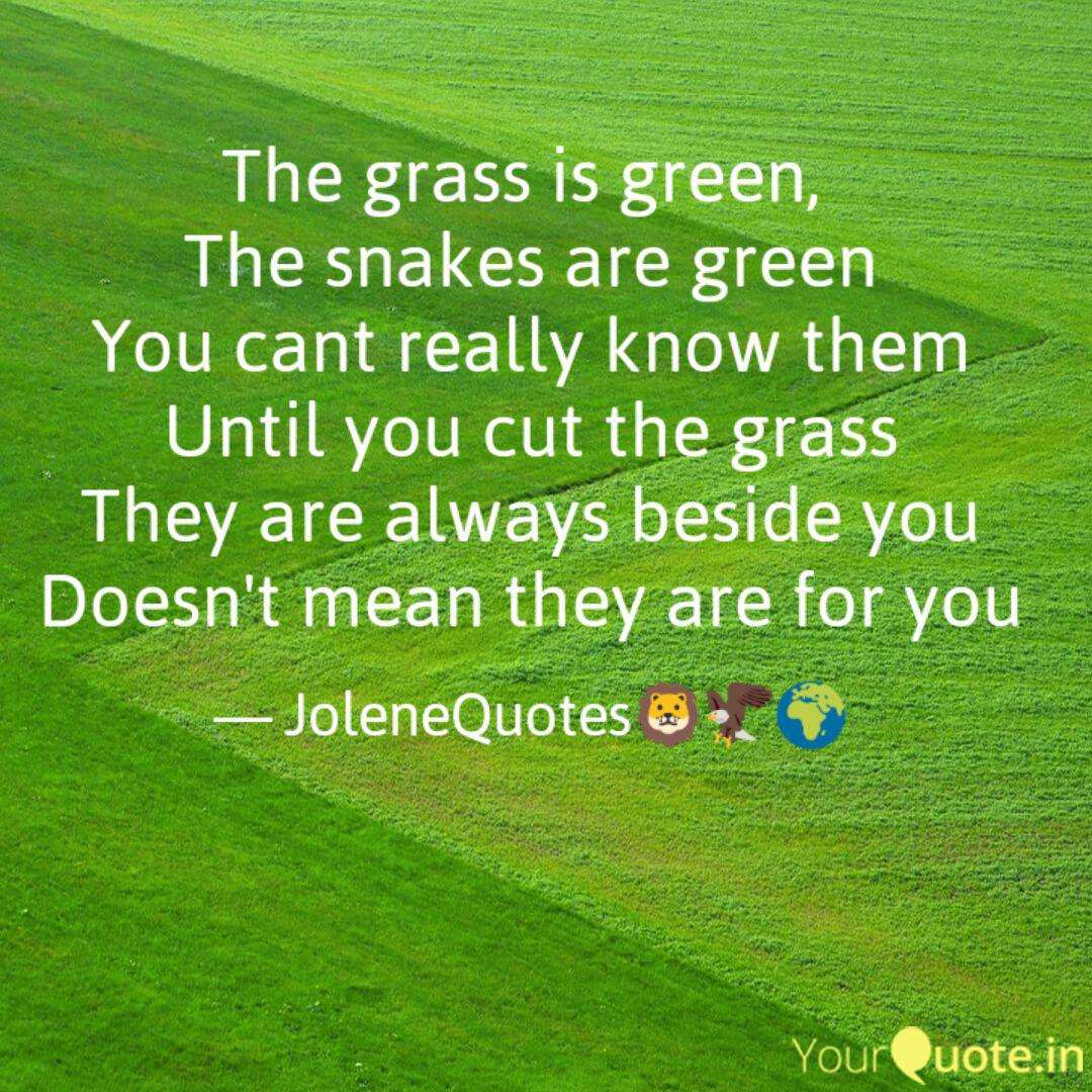 The Grass Is Green The Quotes Writings By Jolene Sama Yourquote