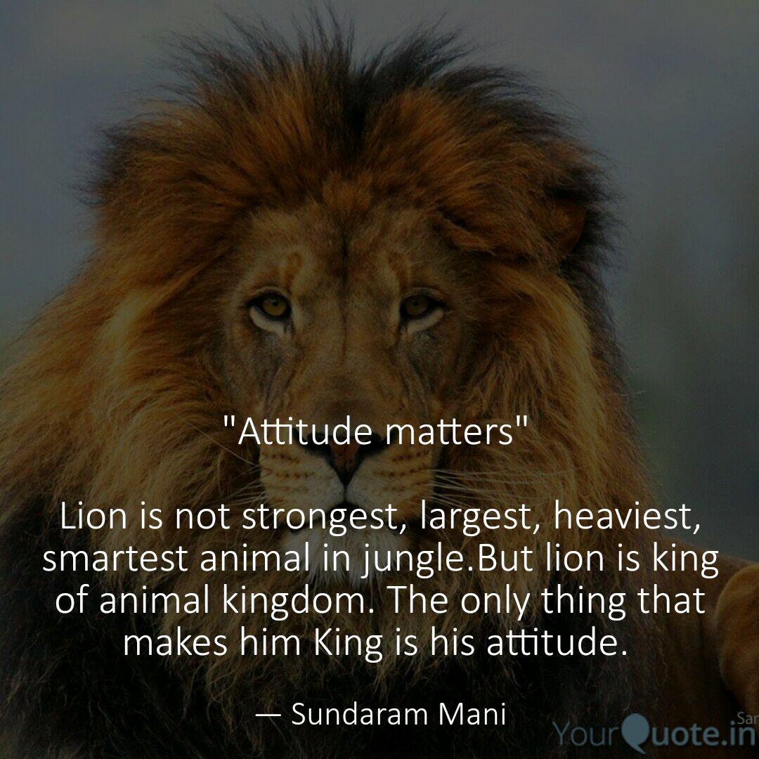 Attitude Lion Quotes Wallpaper - Wallpaper Heaven