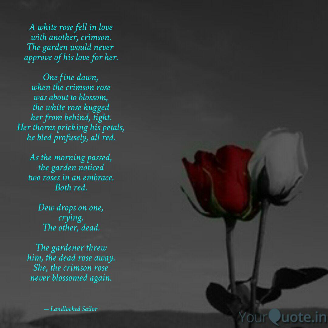 A White Rose Fell In Love Quotes Writings By Bharath