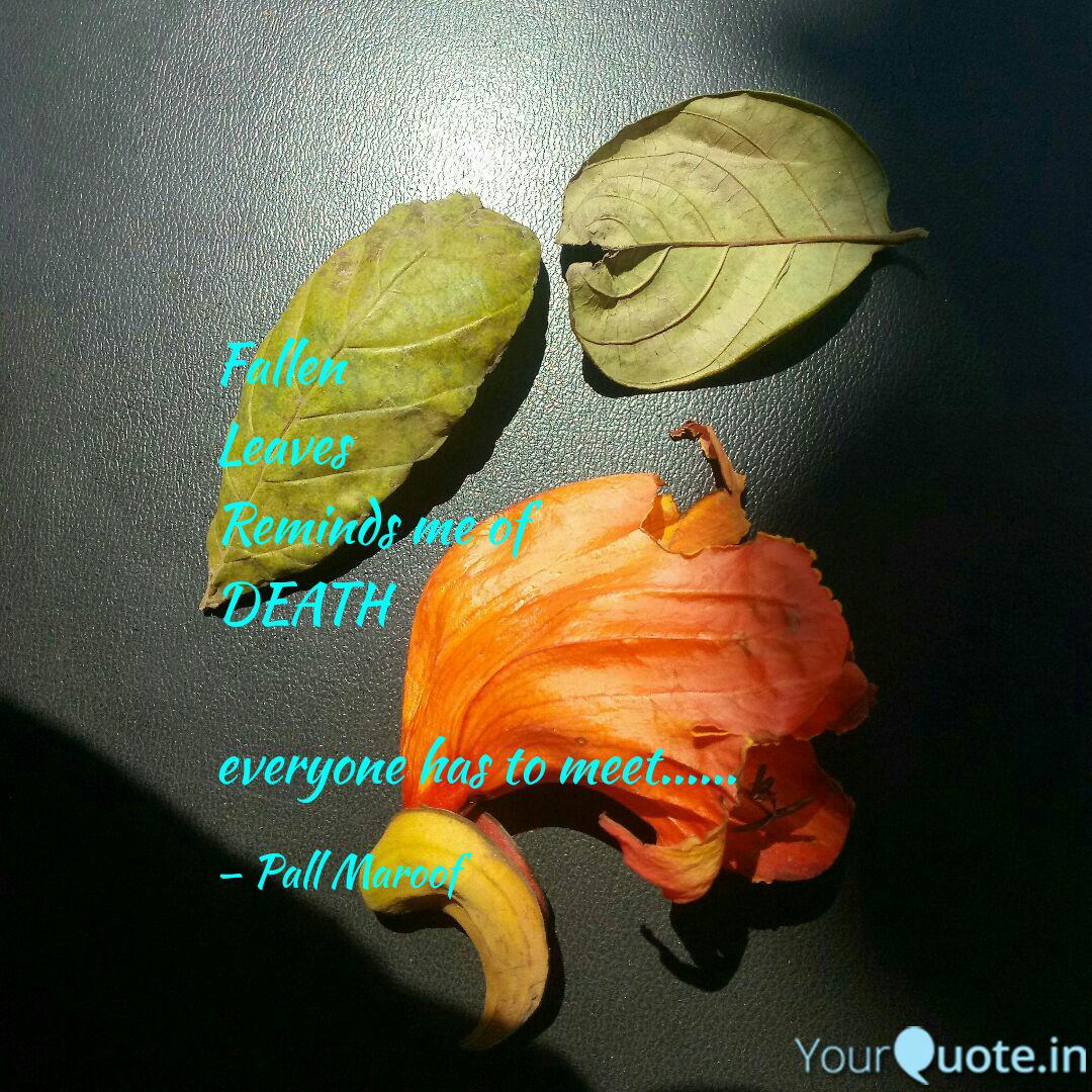 Fallen Leaves Reminds Me Quotes Writings By Dr Maroof Pall Yourquote