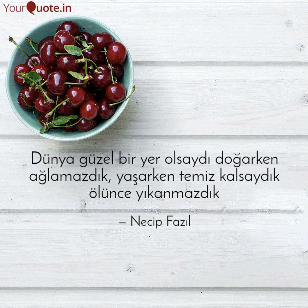 Dunya Guzel Bir Yer Olsay Quotes Writings By Muhammet Hudaybergenow Yourquote