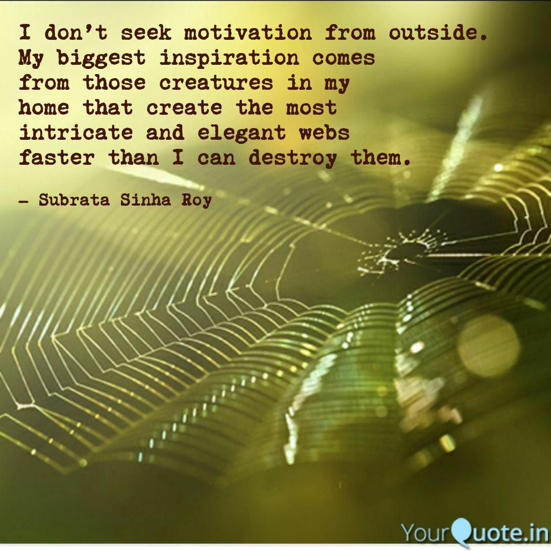 YourQuote Spiders Quote