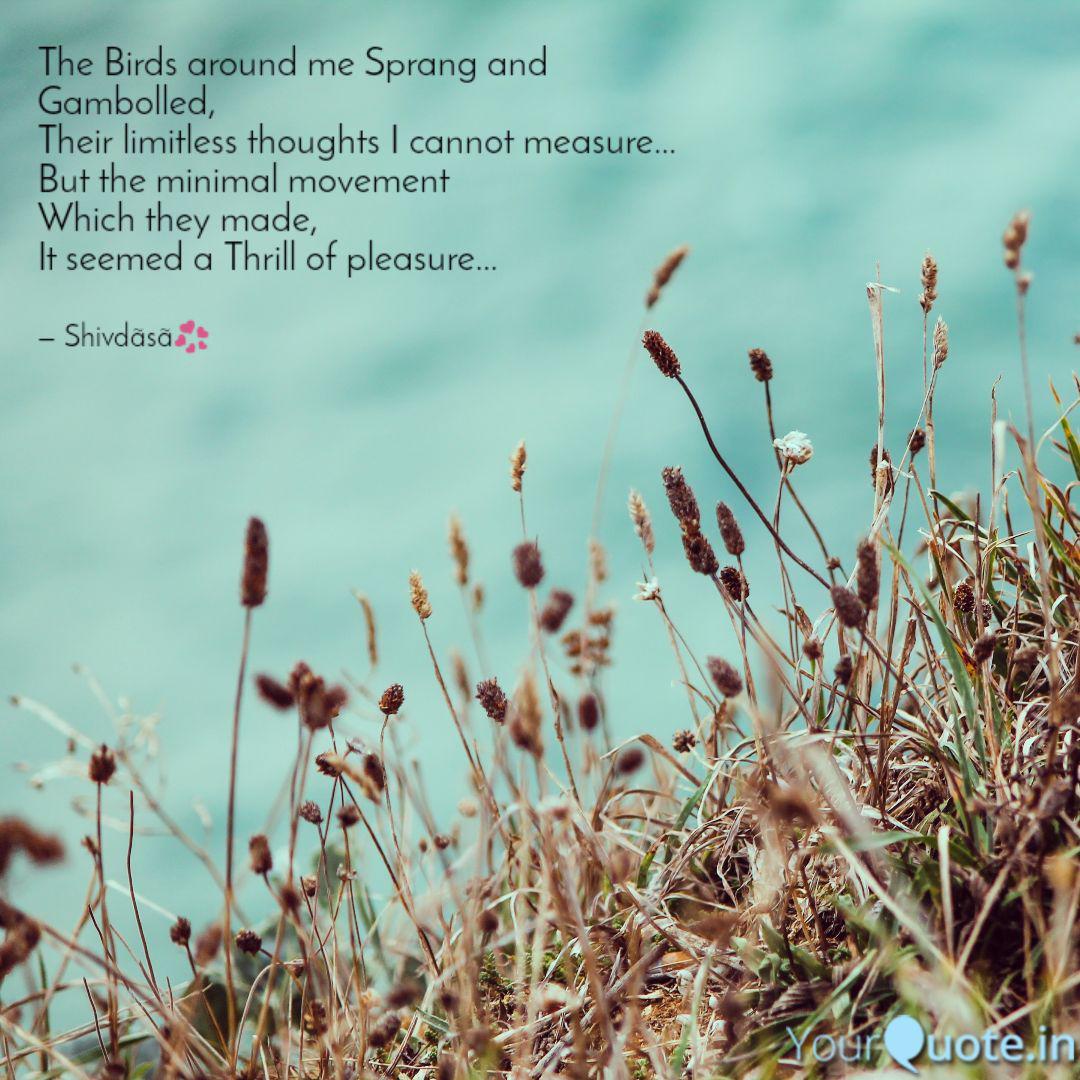 Wallpaper The Birds Around Me Spran Quotes Writings By HD