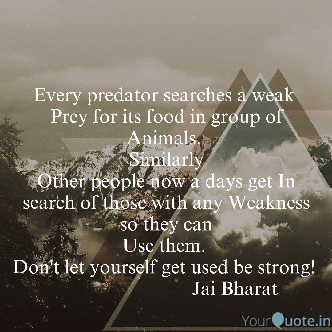 Every Predator Searches A Quotes Writings By Rahul Sharma Yourquote