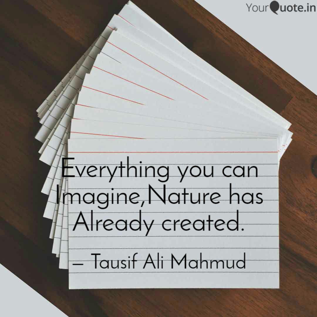 Everything You Can Imagin Quotes Writings By Tausif Ali