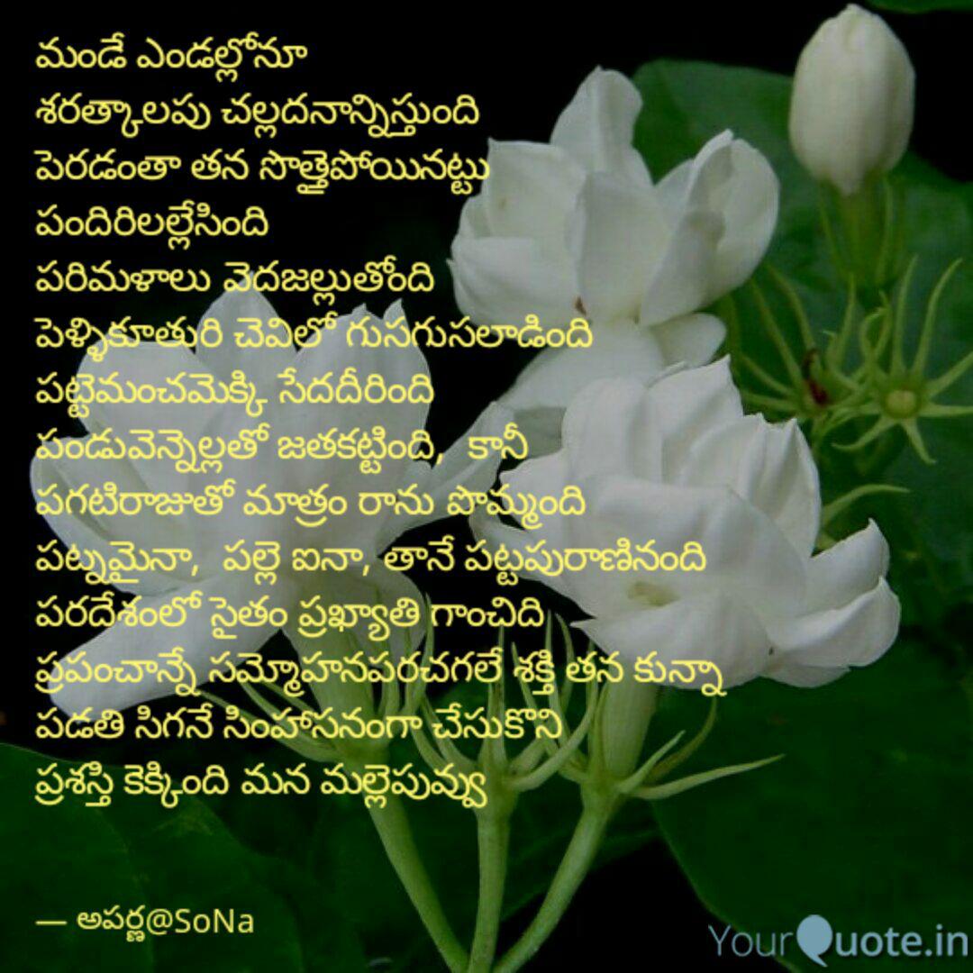 Best À°®à°² À°² À°ª À°µ À°µ Quotes Status Shayari Poetry Thoughts Yourquote Village_quotes,9,vinayaka chaviti kavithalu,2,viswanath a,2,whatsapp status kavithalu,1,wishes,123,world. best à°®à°² à°² à°ª à°µ à°µ quotes status shayari poetry thoughts yourquote