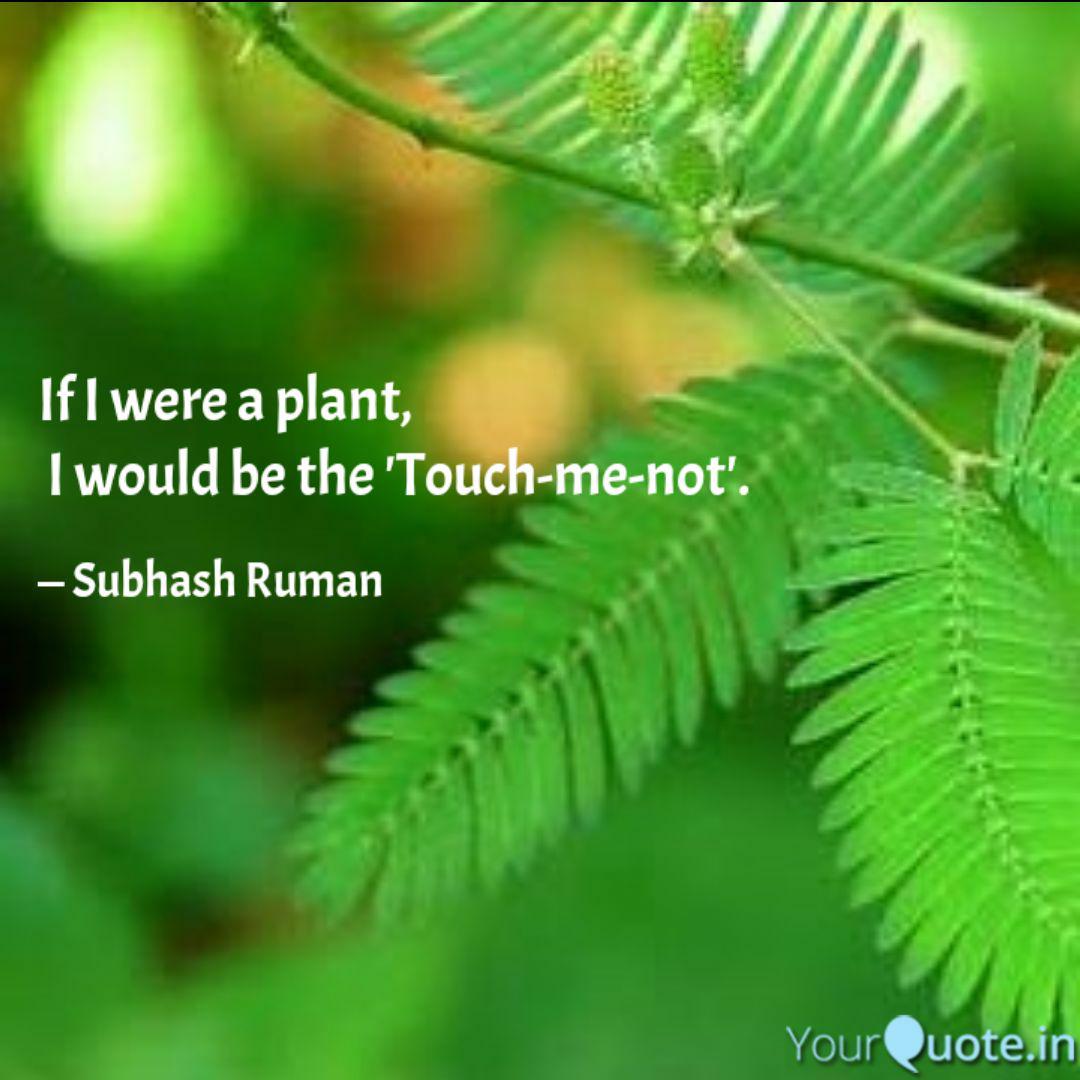Wallpaper If I Were A Plant I Wou Quotes Writings By Subhash Ruman Free